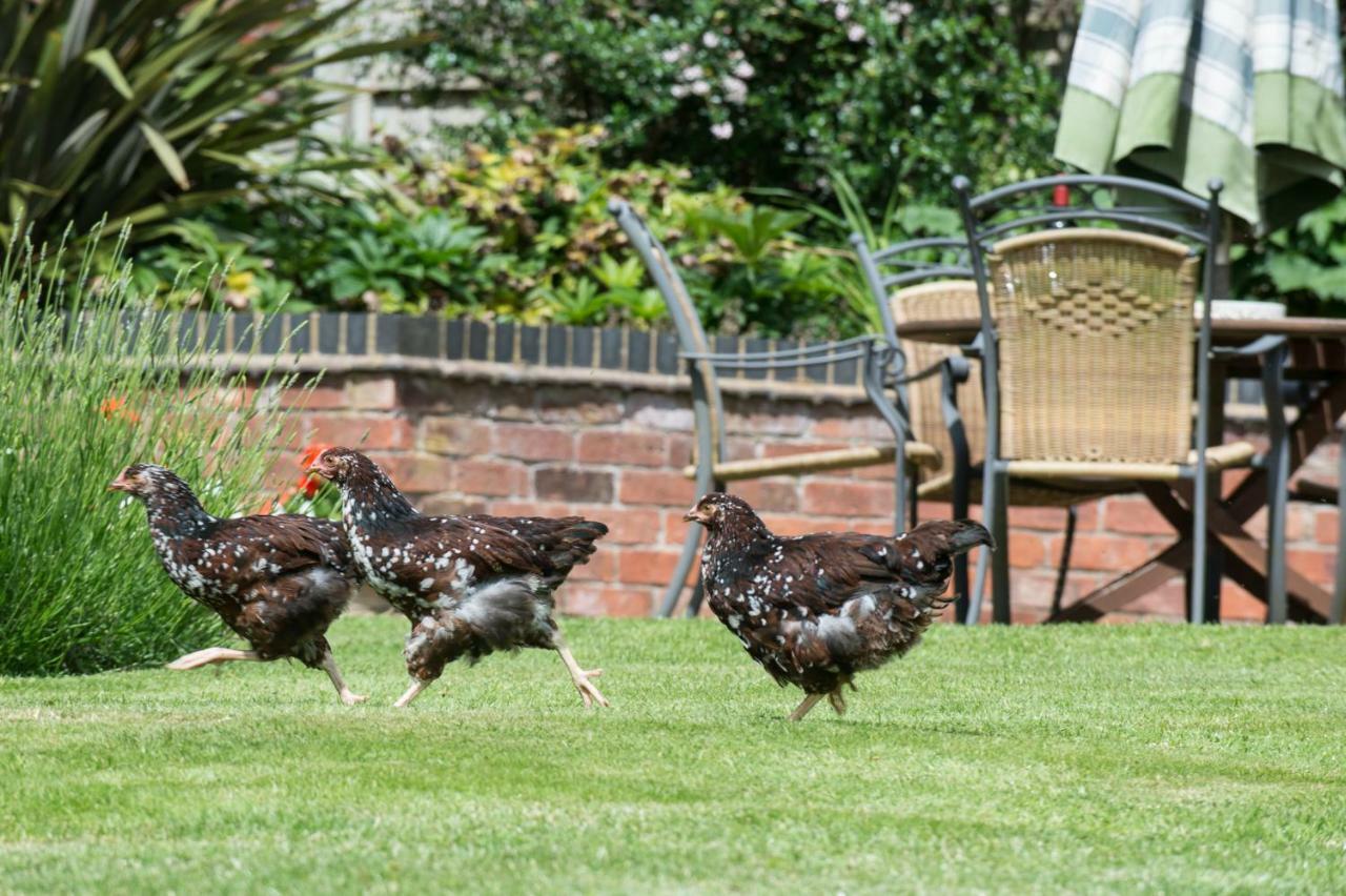 Moreton Hall Farm Panzió Newport  Kültér fotó